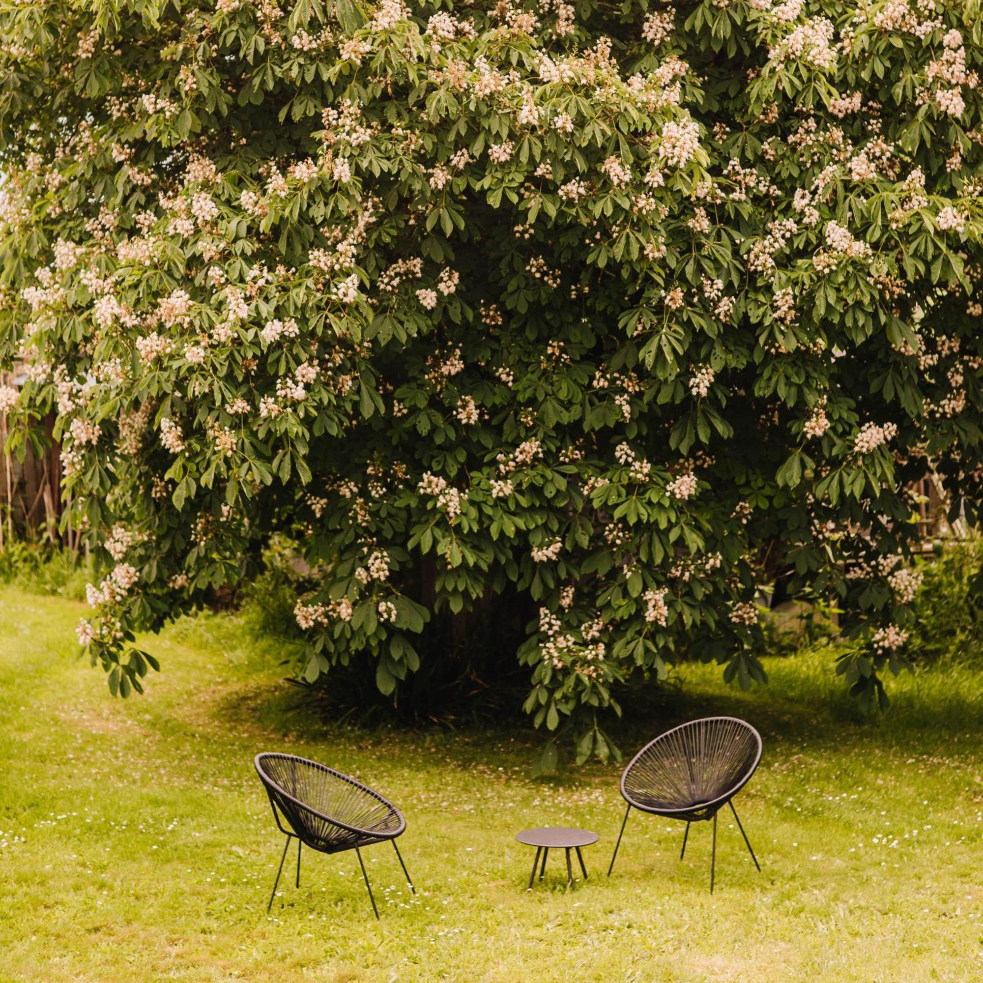 Ecolodge La Belle Verte Saint-Mʼhervé 외부 사진
